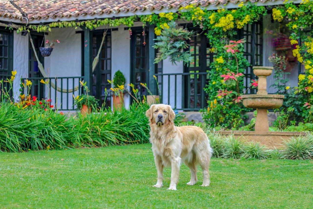 Casa San Nicolas Villa de Leyva Exteriér fotografie